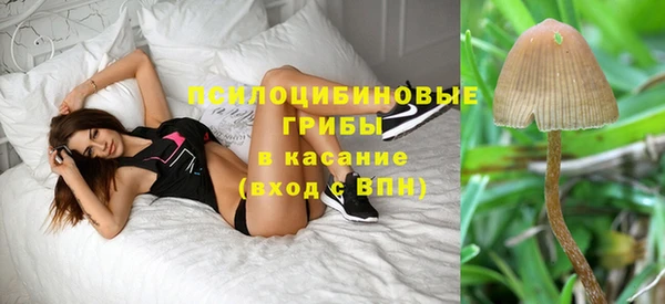 MDMA Premium VHQ Гусиноозёрск