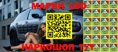 spice Будённовск