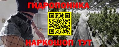 spice Будённовск