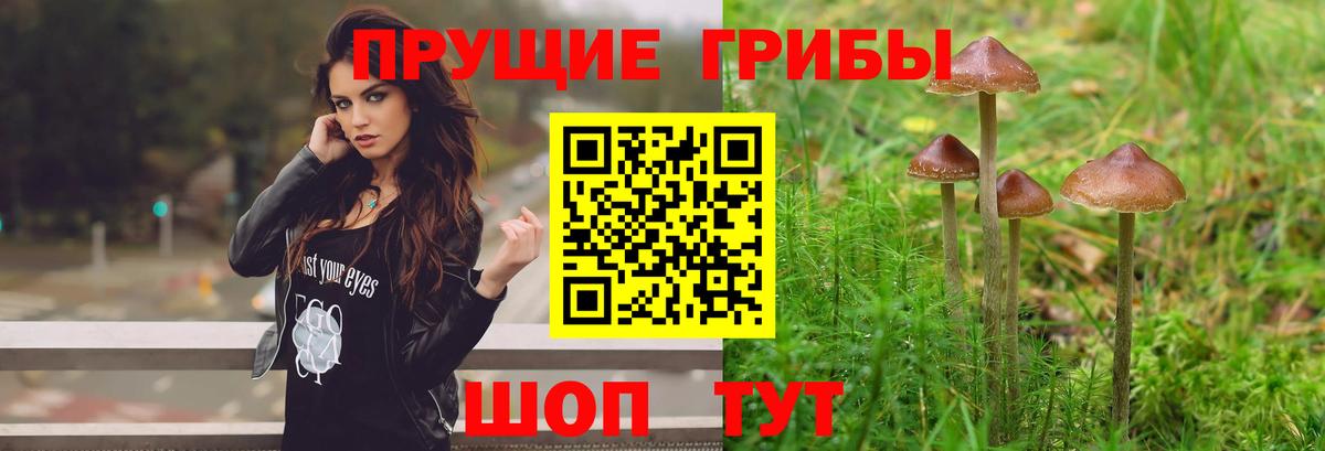 Галлюциногенные грибы мицелий  наркошоп  Дзержинский  Псилоцибиновые грибы Magic Shrooms 