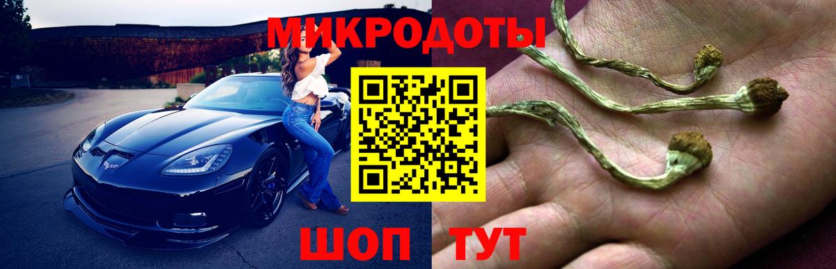 Галлюциногенные грибы прущие грибы Дзержинский